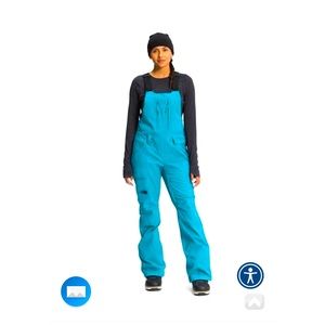 NWT Women’s North Face Freedom Bib snow pants